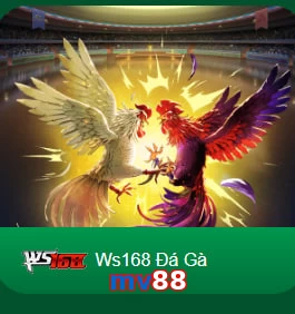 mv88